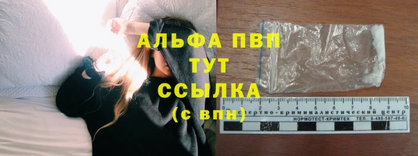 стаф Гусев