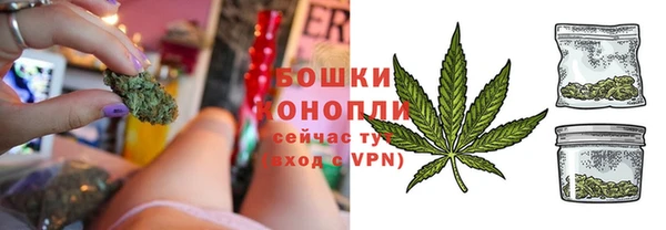 стаф Гусев