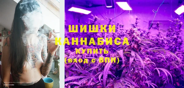 стаф Гусев