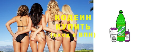 стаф Гусев