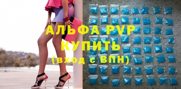 стаф Гусев