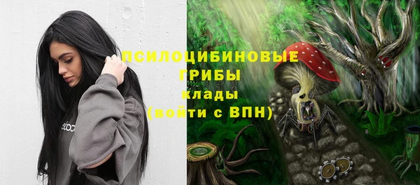 стаф Гусев