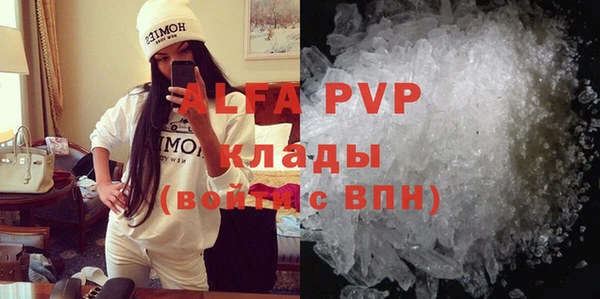 стаф Гусев