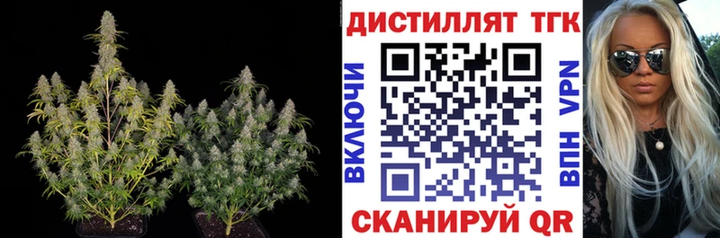 цена наркотик  Камызяк  Дистиллят ТГК вейп с тгк 