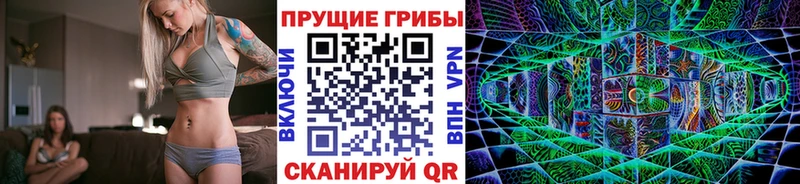 ОМГ ОМГ ссылки  Камызяк  Псилоцибиновые грибы Magic Shrooms 
