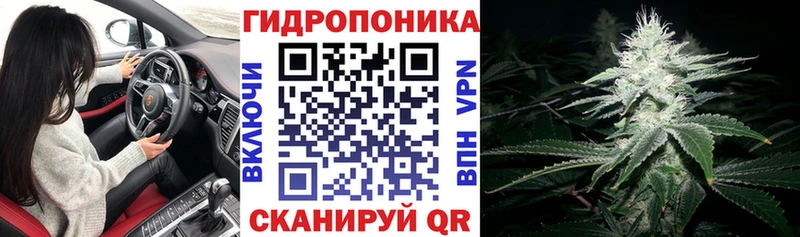 Конопля White Widow Камызяк